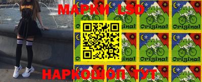 кокс Можга