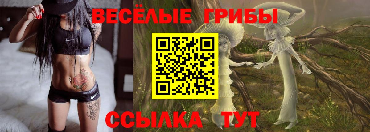 Псилоцибиновые грибы Magic Shrooms Алатырь