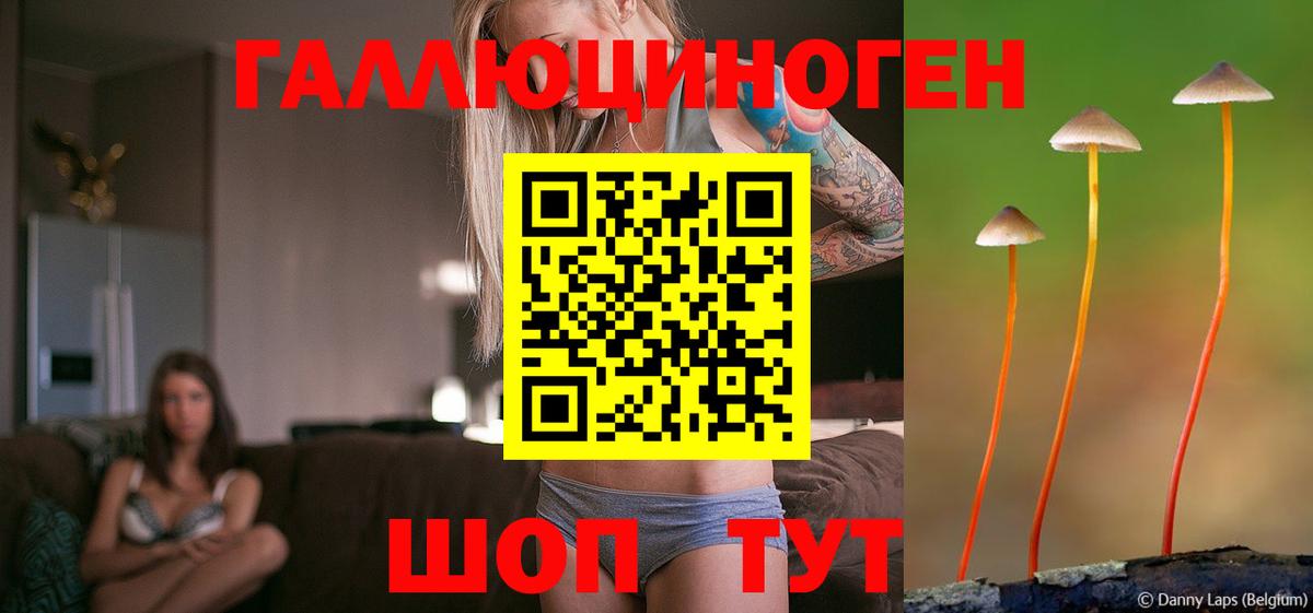 Галлюциногенные грибы MAGIC MUSHROOMS  Галлюциногенные грибы GOLDEN TEACHER  Алатырь  наркошоп  Вход с VPN 